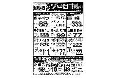 WEBチラシ