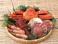 三河屋ってこんな店です