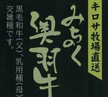 金田バイヤーのお勧め