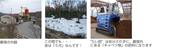 金田バイヤーのお勧め