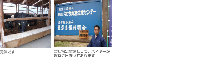 金田バイヤーのお勧め