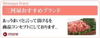 三河屋おすすめブランド